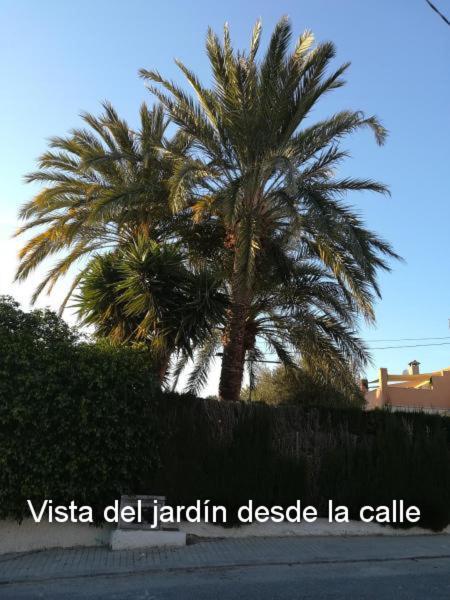 Sun & Palm Trees Apartment Balsares Luaran gambar