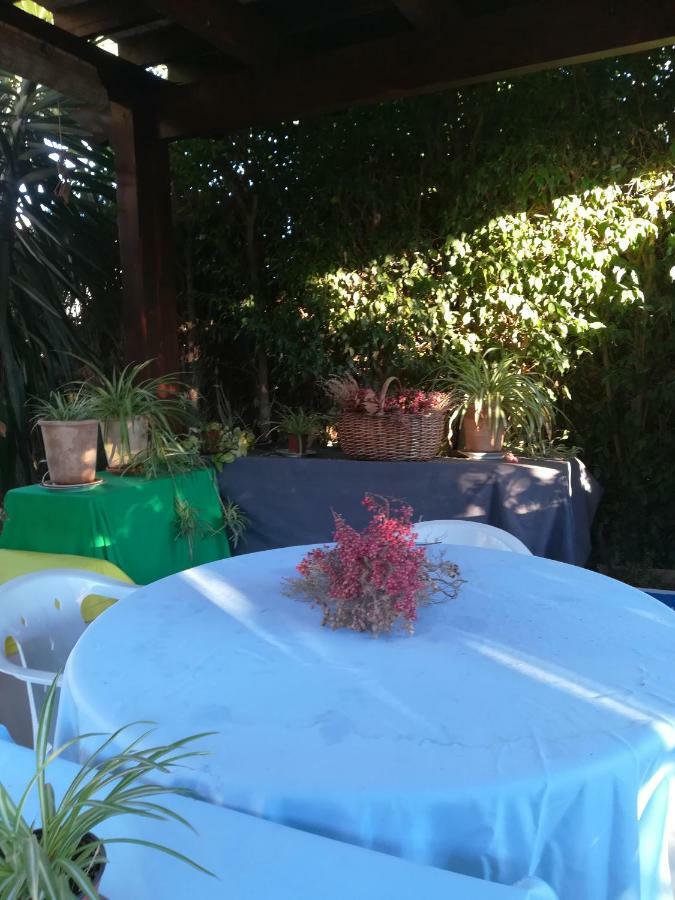Sun & Palm Trees Apartment Balsares Luaran gambar