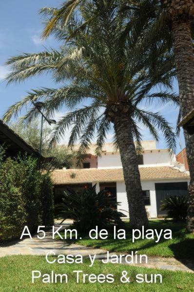 Sun & Palm Trees Apartment Balsares Luaran gambar