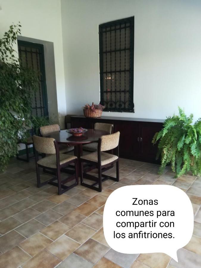 Sun & Palm Trees Apartment Balsares Luaran gambar